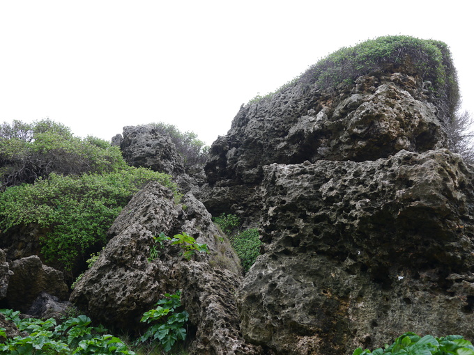 a0043814_23353875.jpg