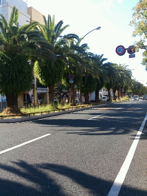 f0170417_23211832.jpg