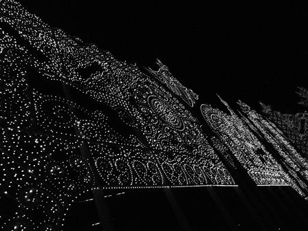 d0153627_3373875.jpg