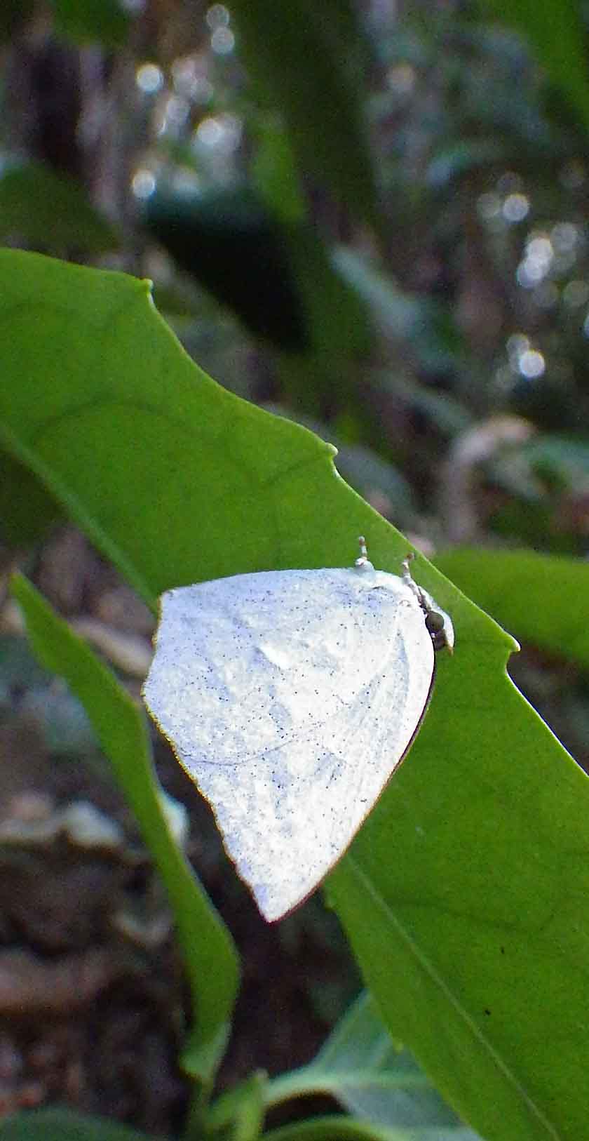 a0126632_1644848.jpg