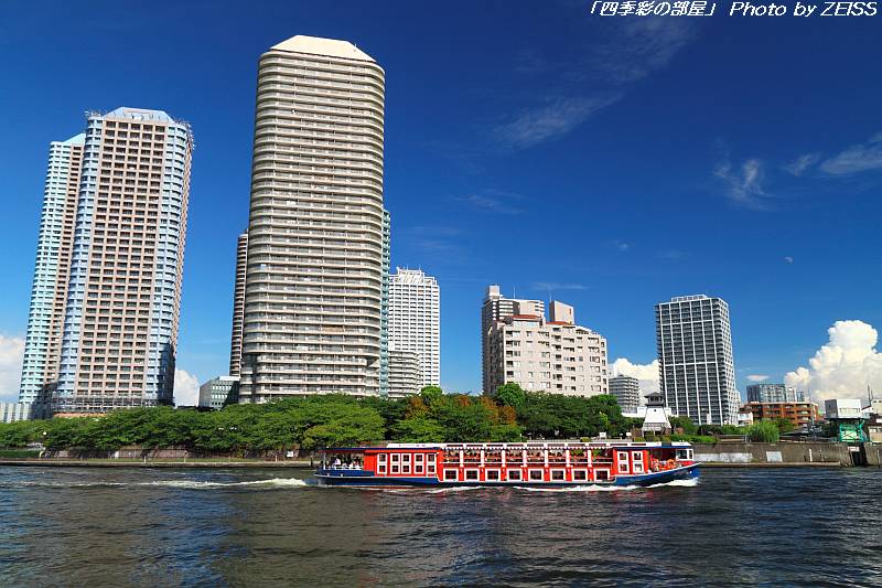 a0195032_13293011.jpg
