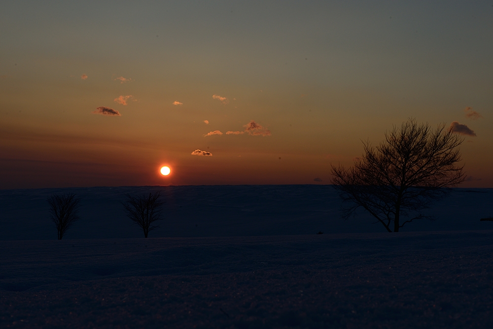 c0221838_2011329.jpg