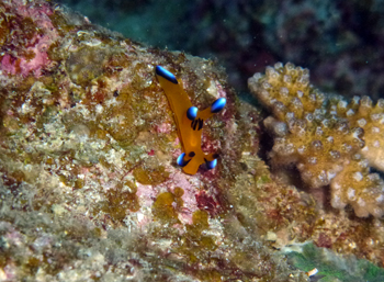 f0014842_20571262.jpg