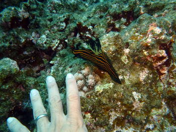 f0014842_20572759.jpg