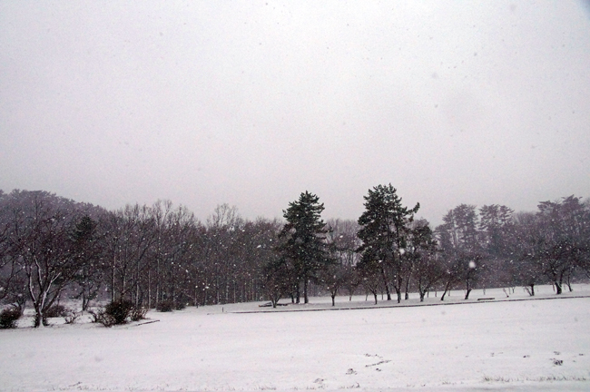 f0214649_1072364.jpg