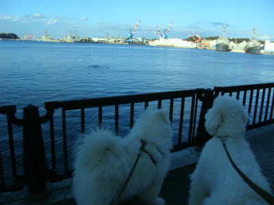 d0033151_17450100.jpg