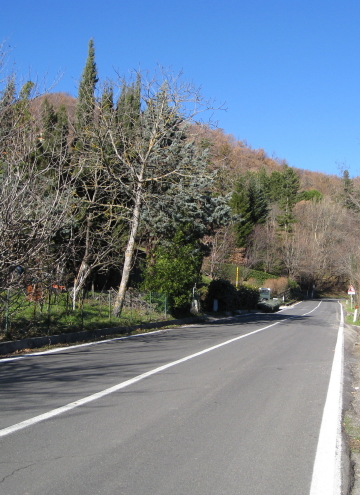 f0077159_2259737.jpg