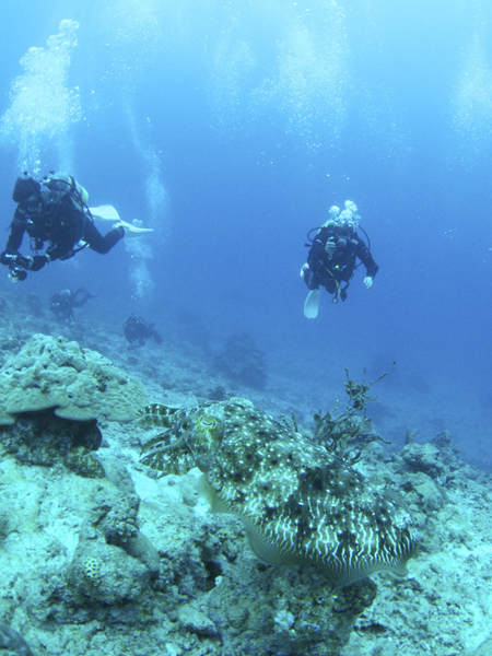 b0062363_17513649.jpg
