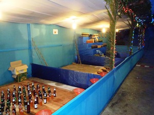 c0039073_20592551.jpg