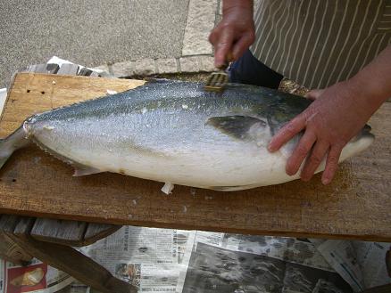 e0240973_2124341.jpg