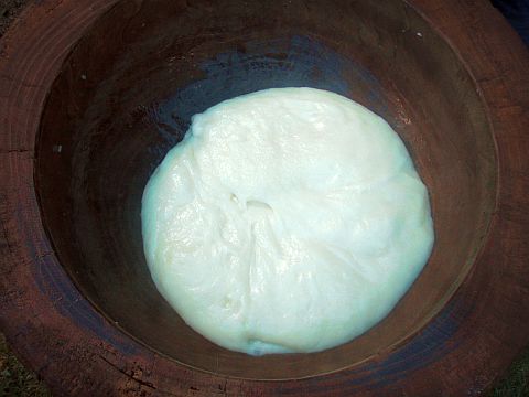 f0047773_16532114.jpg