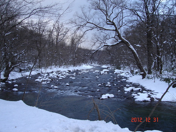 a0188775_9214263.jpg