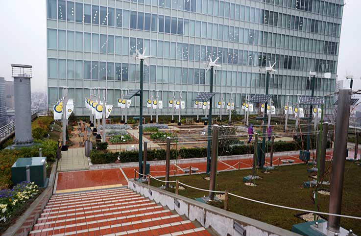 b0057679_8503581.jpg