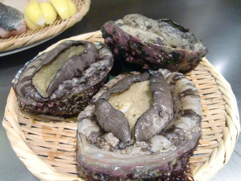 f0238779_11114216.jpg