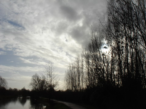 a0247585_556096.jpg