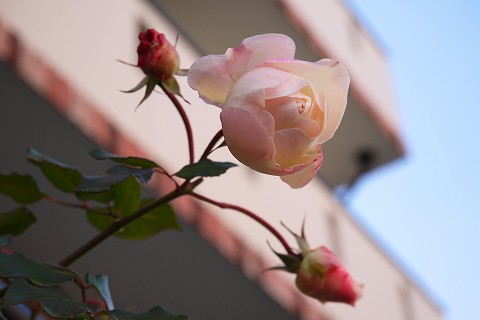 d0259585_17243879.jpg