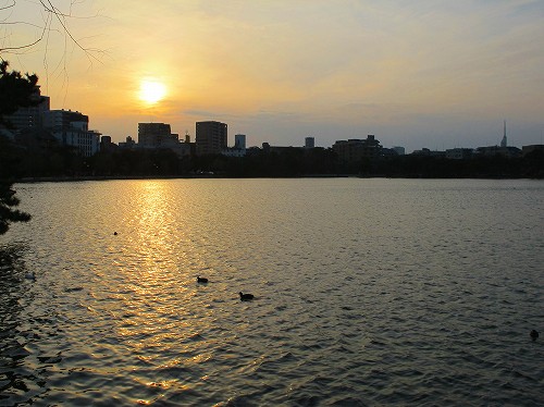f0073587_17182532.jpg