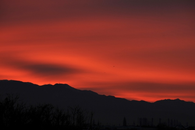 c0246290_8194150.jpg