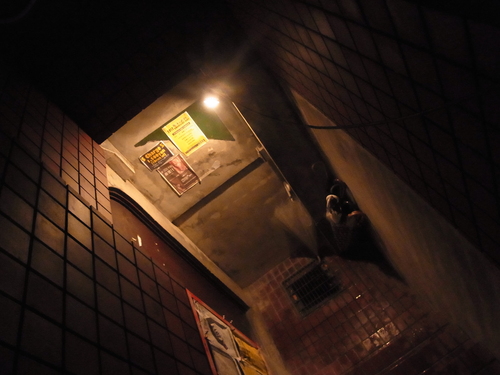 b0230793_16595498.jpg
