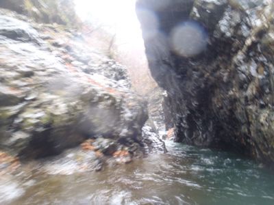 e0211293_6102742.jpg