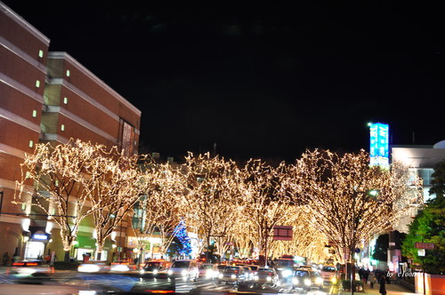 e0210194_1233589.jpg