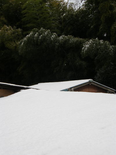e0017396_18295189.jpg