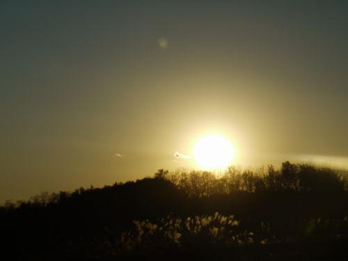 f0201297_18184618.jpg