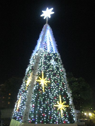 f0201297_1892829.jpg