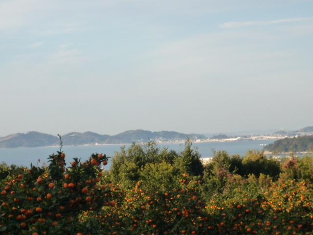 c0220700_9501197.jpg