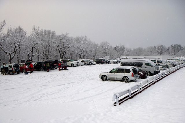 e0137200_1510177.jpg