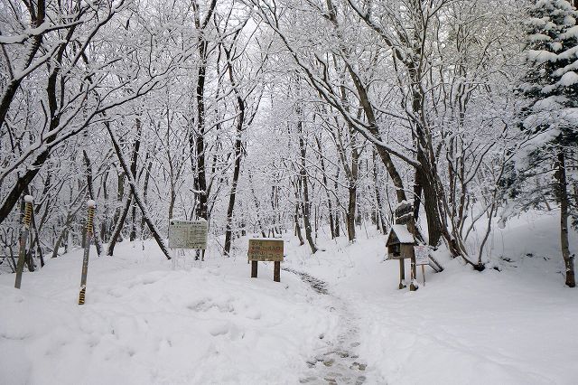 e0137200_1512865.jpg