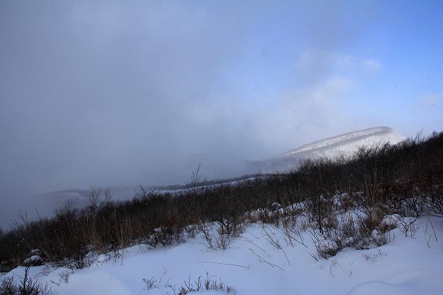 e0137200_15372317.jpg