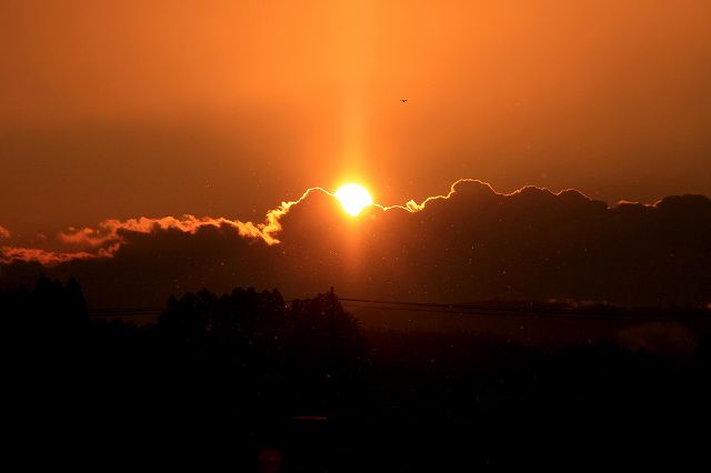 e0137200_156136.jpg