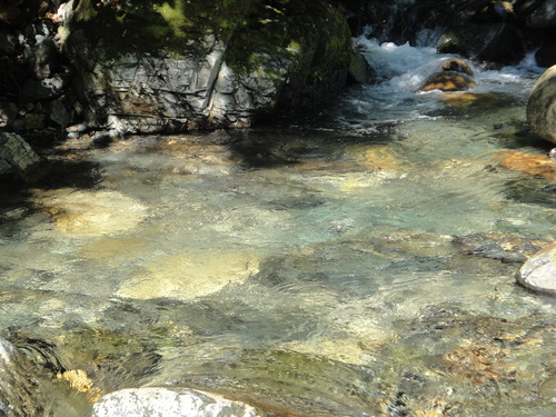 b0172805_231237.jpg