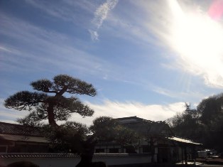 b0079206_13445573.jpg