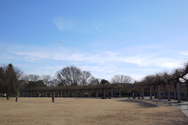 b0183917_16325357.jpg