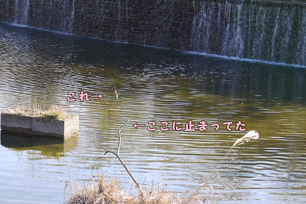 b0183917_16535334.jpg