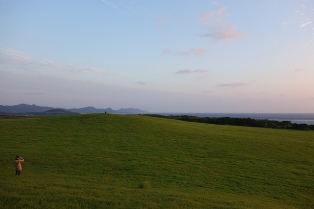 f0142821_22361115.jpg