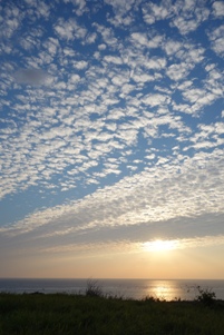 f0142821_22384597.jpg