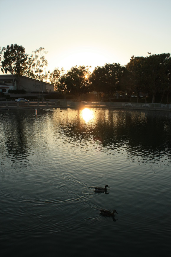b0255523_9393797.jpg