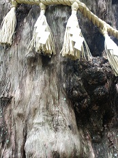b0252727_74640.jpg