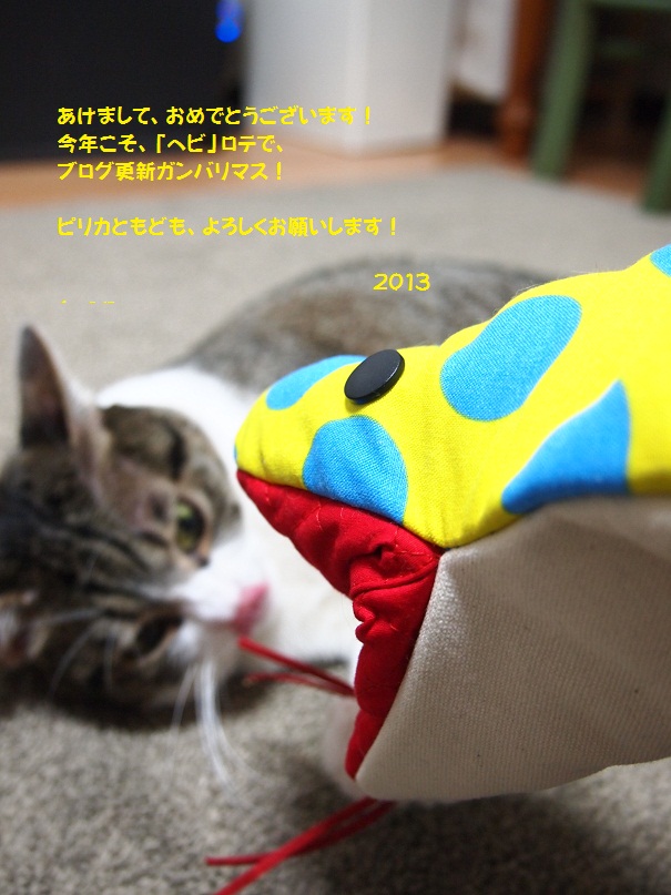 c0134727_0301455.jpg