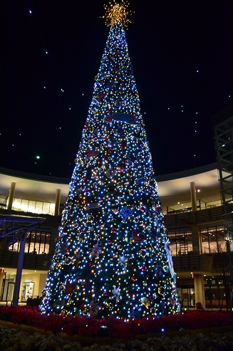 f0124830_0283414.jpg