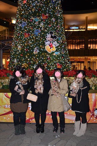f0124830_1301960.jpg