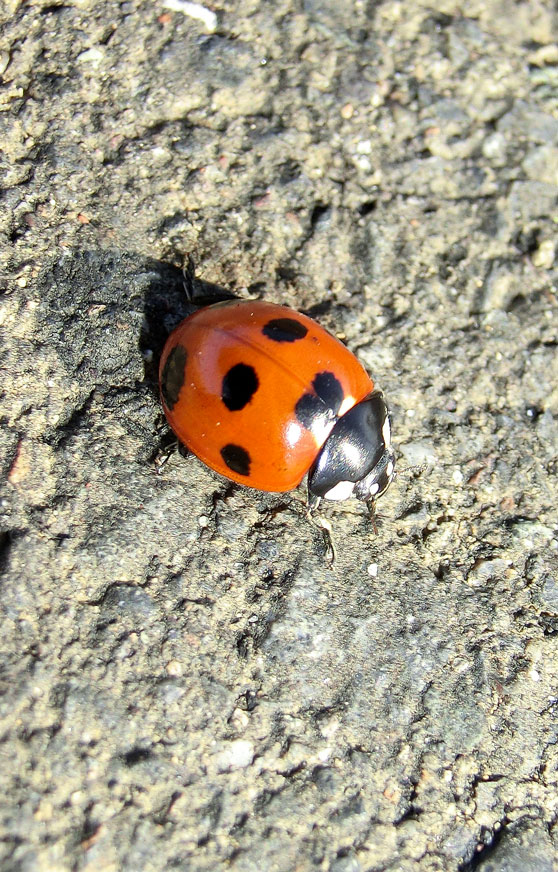 a0126632_1943050.jpg