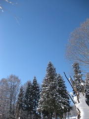 b0116933_15311614.jpg
