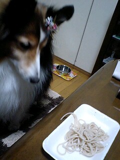 f0210439_2363429.jpg