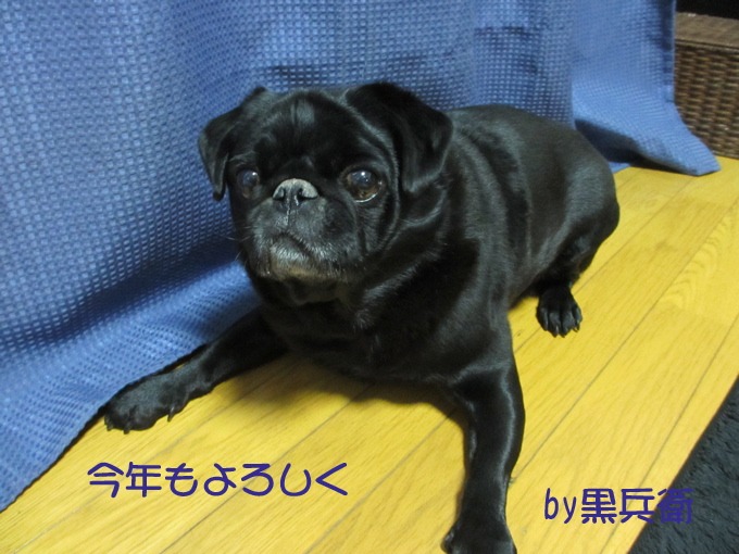 a0051443_17133995.jpg