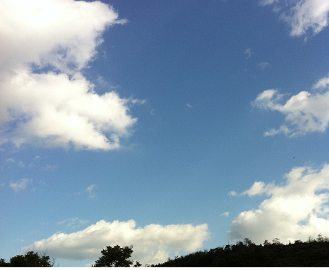 c0059543_1435476.png