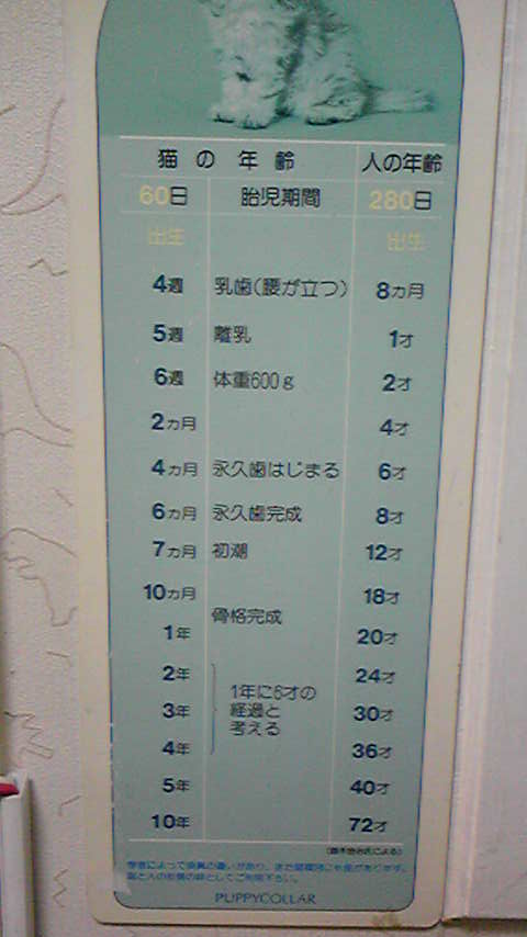 b0149445_3243340.jpg